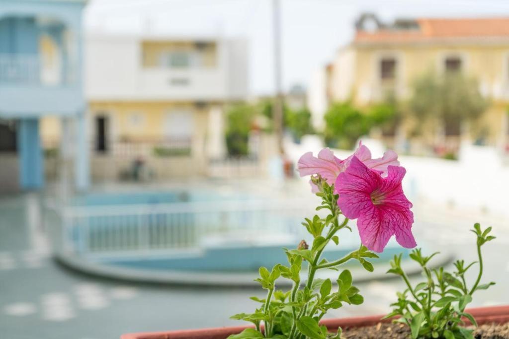 Aparthotel Anna's & 2*